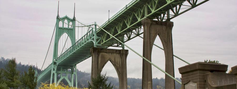 PDX 50-50
