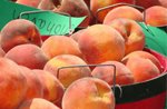 Peach Festival 5K & 1-Mile Fun Walk Logo