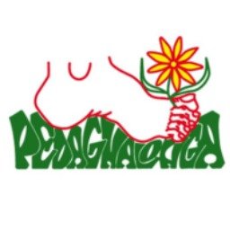 Pedagnalonga Logo