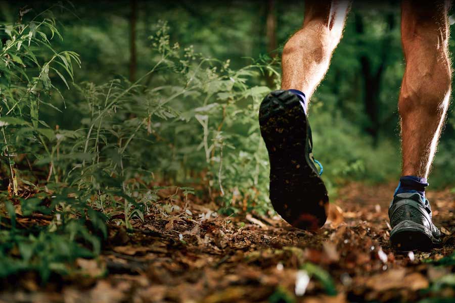 Périgord Grand Trail Logo