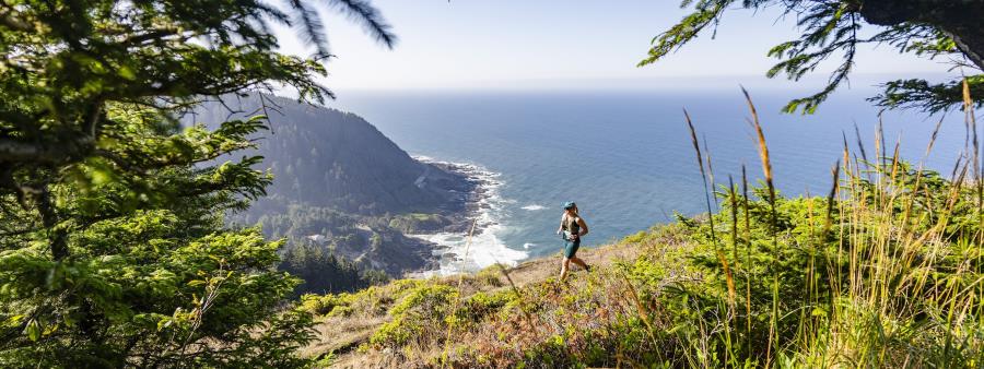 Perpetua Coast Logo