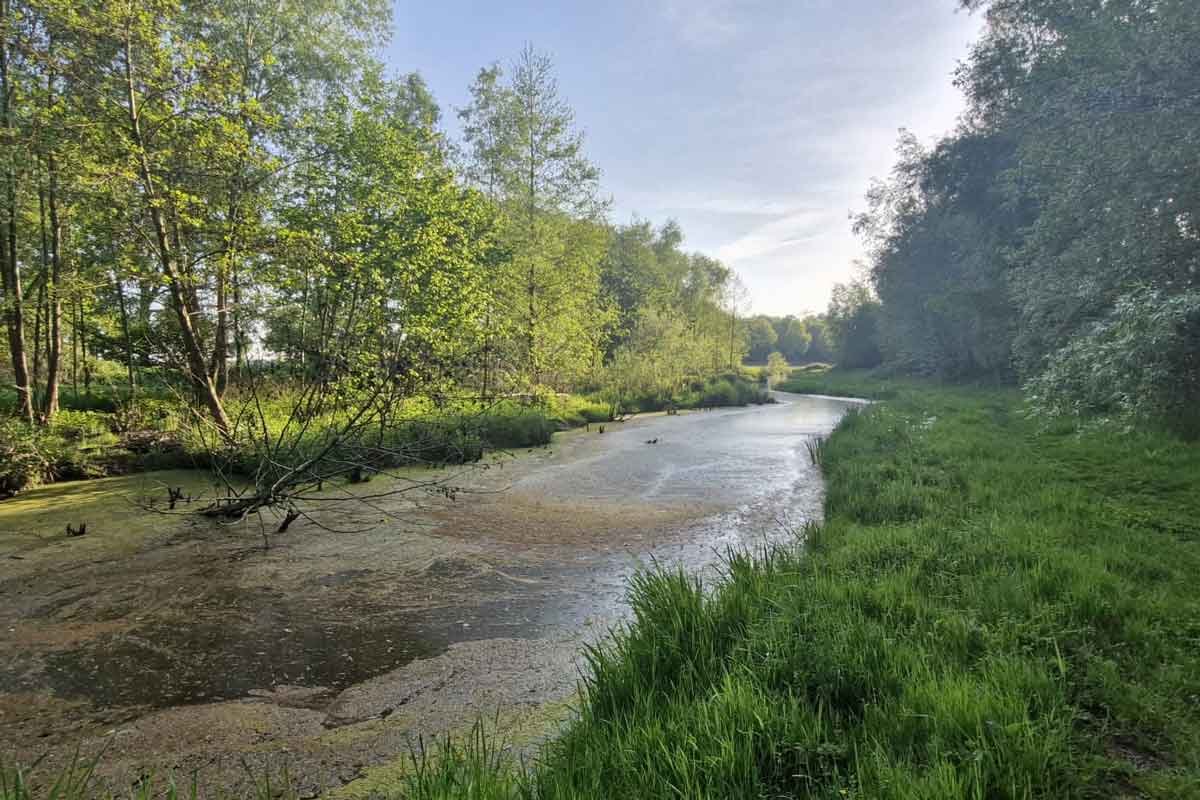 Petranpad Ultra Trail 112k / 64k