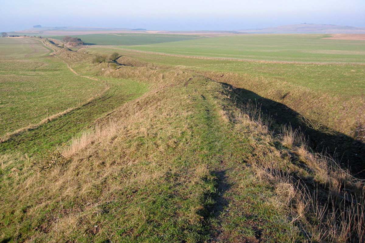 Pewsey Downsaround Logo