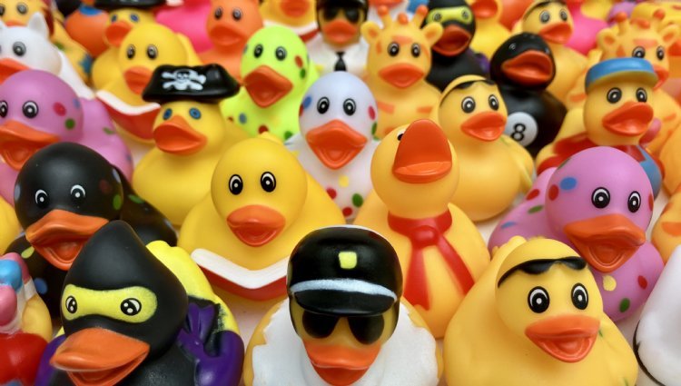 PHOENIX - Kent - Duckython - Pluck a Ducky