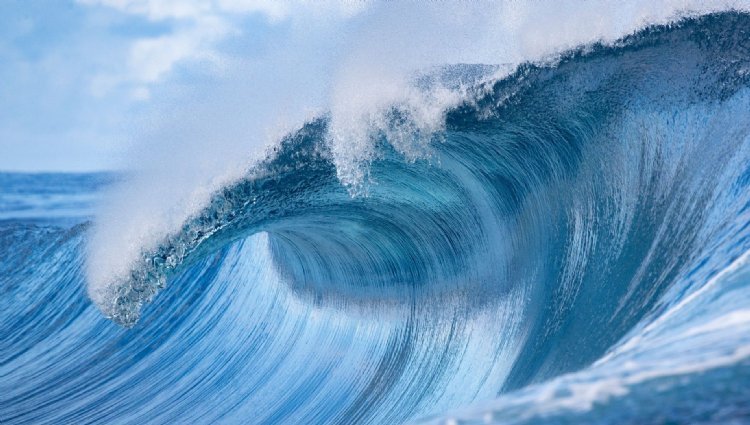 PHOENIX - Surrey - Oceans Run 2027