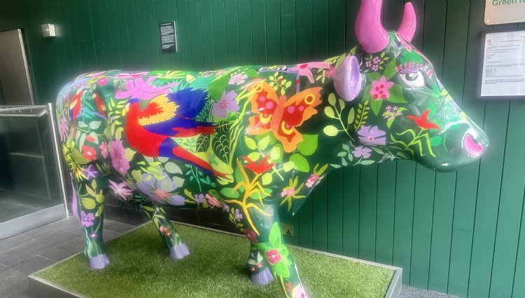 PHOENIX - Surrey - The Painted Cow Run 2027 Logo