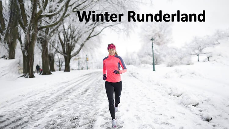 PHOENIX - Winter Runderland 2026 Logo