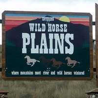 Plains Day 5K and Kids Mile