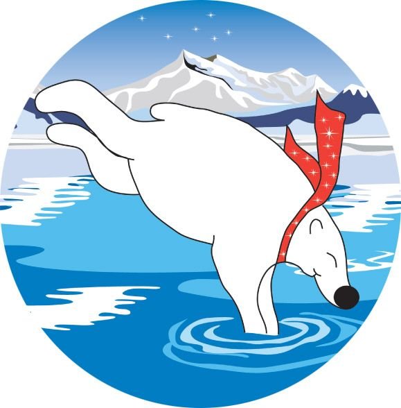 Polar Plunge
