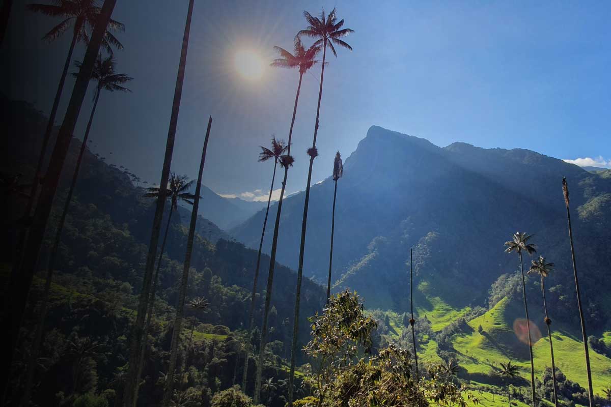 Powerman Colombia Logo