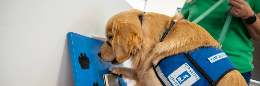 Project PAWS