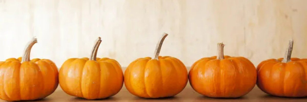 Pumpkin Dash 5k