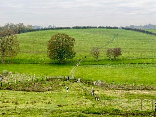 Punk Panther Dales Dazzler Logo
