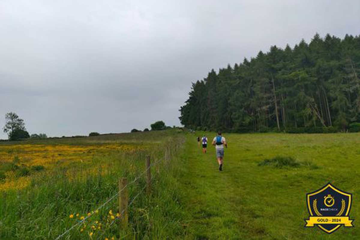 Punk Panther Harrogate Hustle Logo