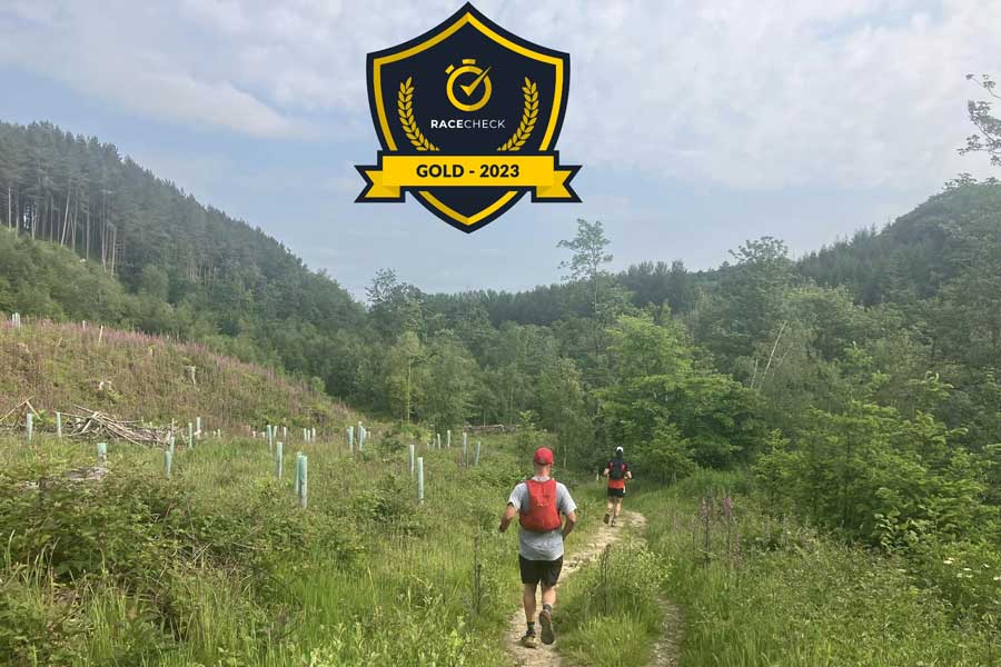 Punk Panther Ripon Stinger Logo