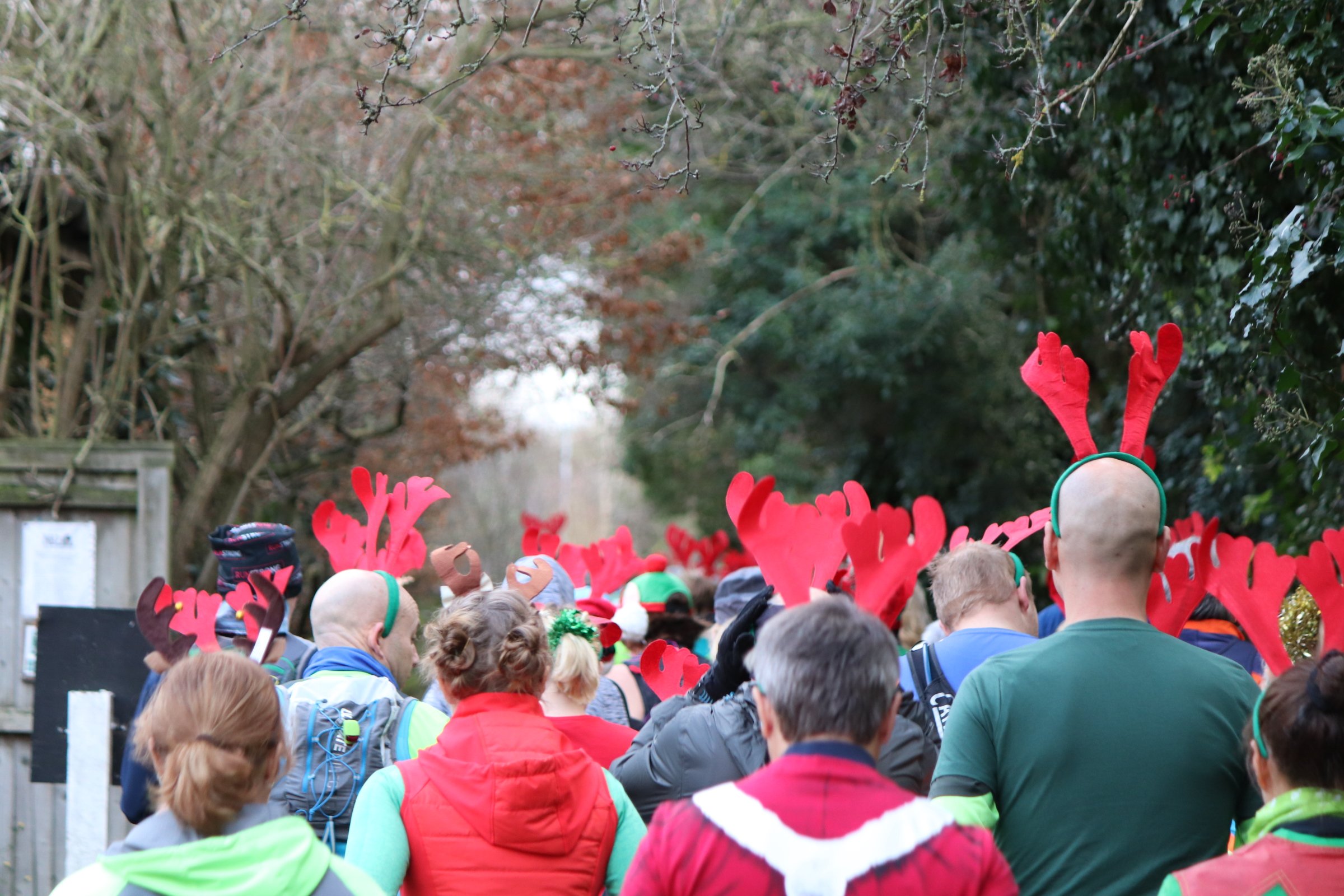 Raynedeer Run 2026 Logo