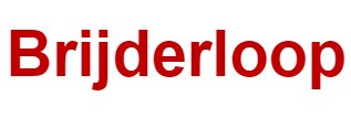 Reakt-Brijderloop Logo