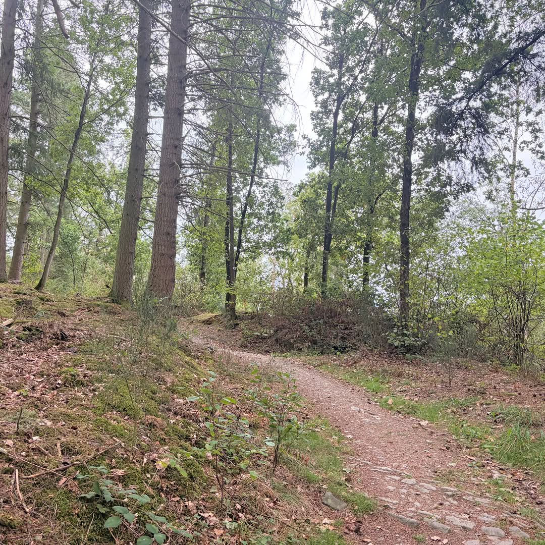 Rendeux trail expérience - RTX