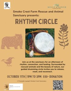 Rhythm Circle Logo