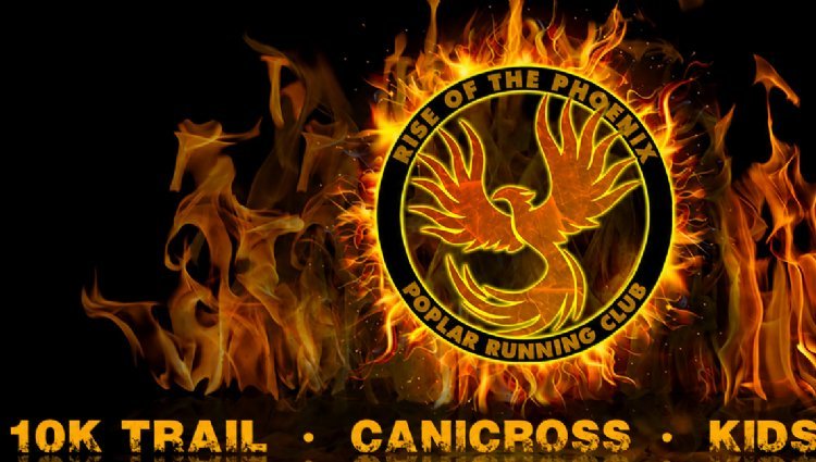 Rise of the Phoenix - The Beacon Solstice Logo