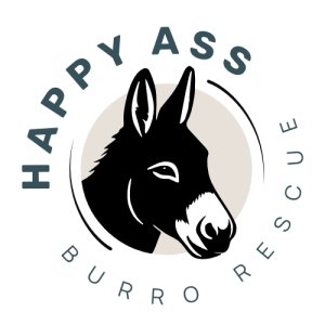 River & Rails Donkey Dash Logo