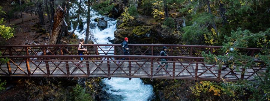 Rogue Gorge