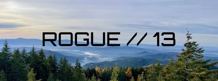 ROGUE//13