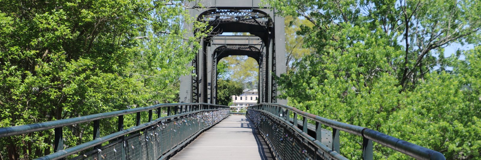 Rom'n Rivers 15K