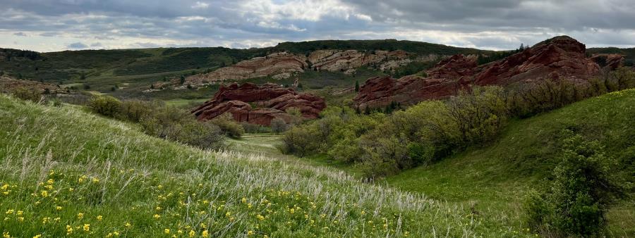 Roxborough Ultras