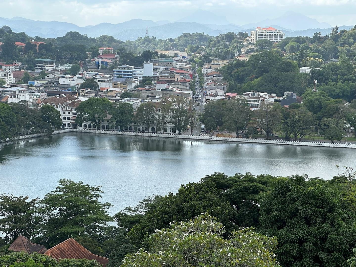 Run for Sri Lanka - Kandy Half Marathon Logo
