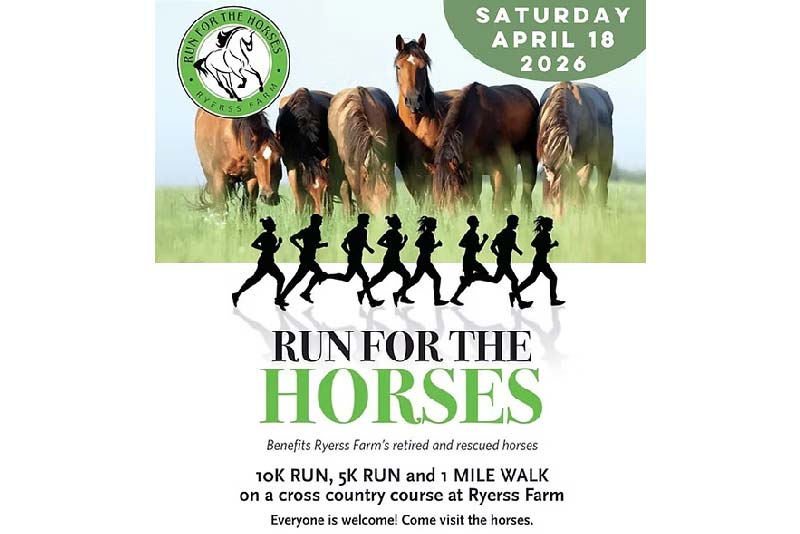 Run For The Horses Logo