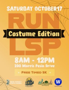 RUN LSP - Costume Edition Logo