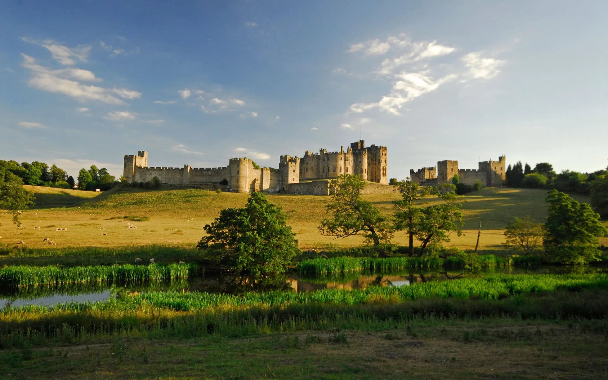 Run Northumberland Alnwick Half Marathon / 10k / 5k / Junior Run