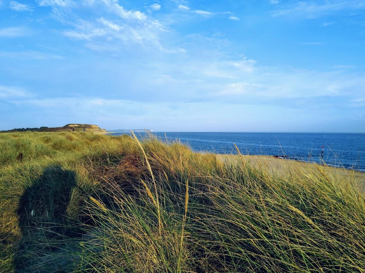 Run to the Sea Bournemouth 2026 Logo