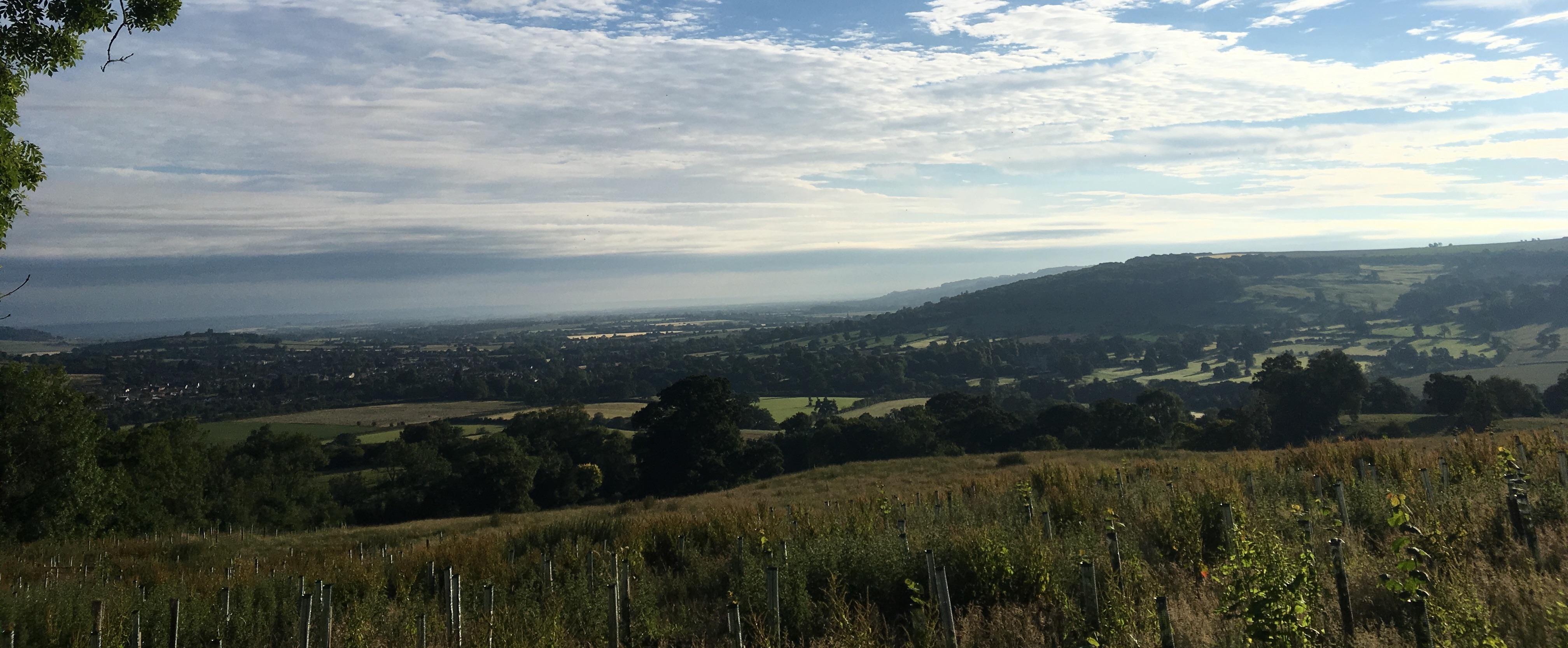 Run Winchcombe 2026