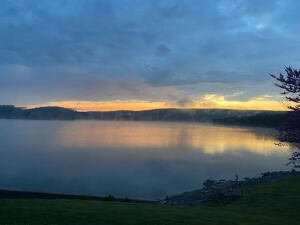 Run with the Lions 5K Logo