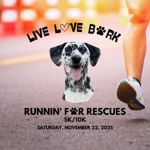 Runnin' for Rescues 5K/10K Logo