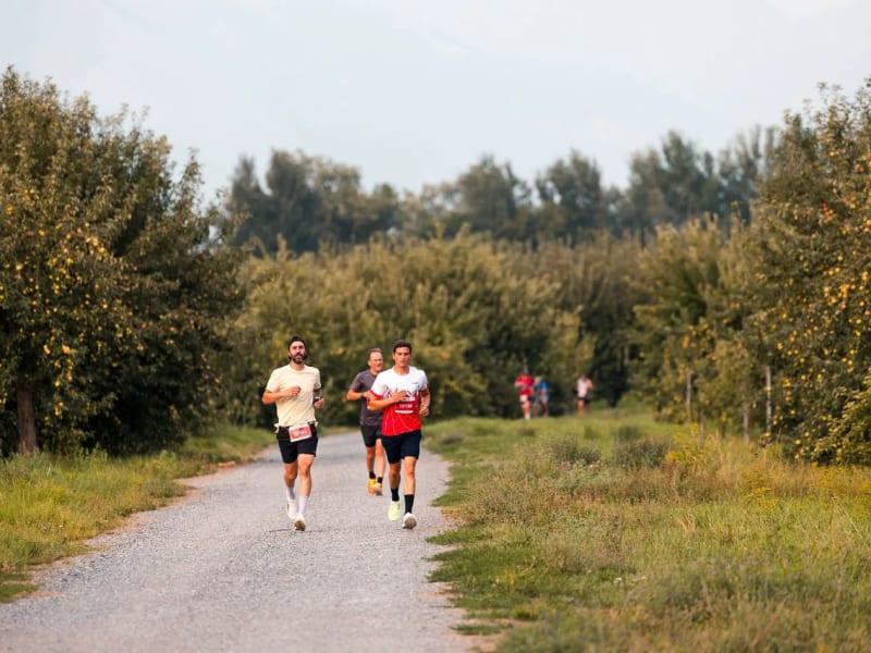 Running du Valais Logo