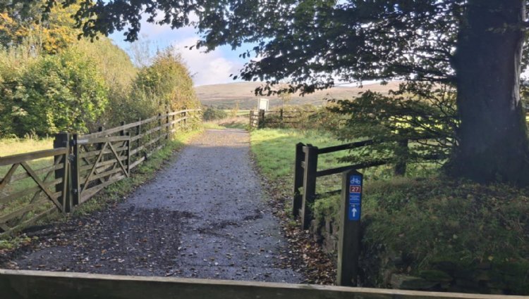 Running Events Devon - Train-ing Challenge 2026