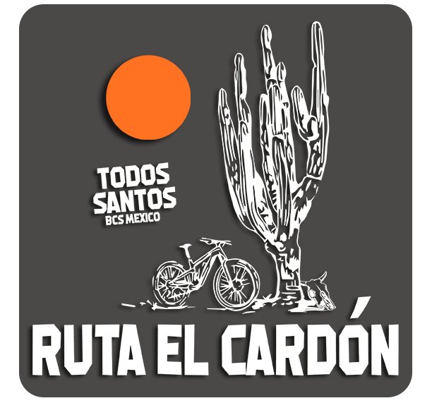 Ruta El Cardón