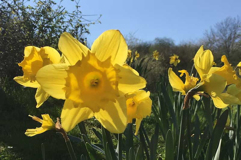 Rutland Spring Half Marathon