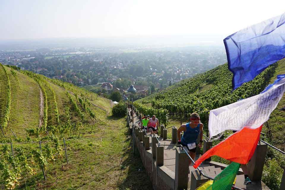 Sächsische Mt. Everest Treppenmarathon Logo