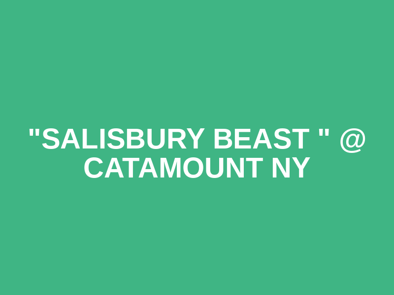 "Salisbury Beast " @ Catamount NY Logo