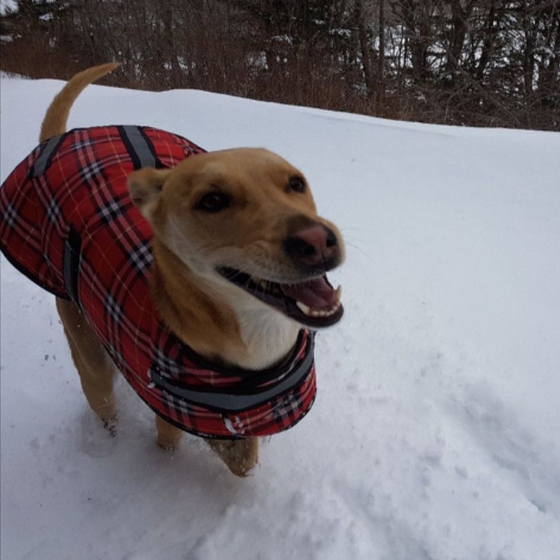 Salomon Toboggan Run