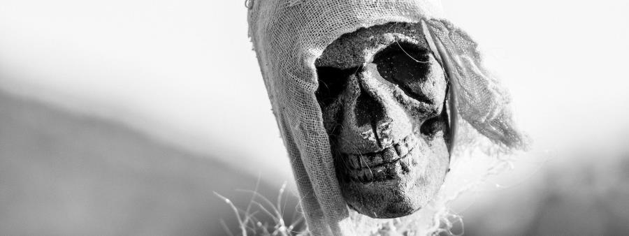 Pirate's Cove 6/12/24 hour Run/Hike