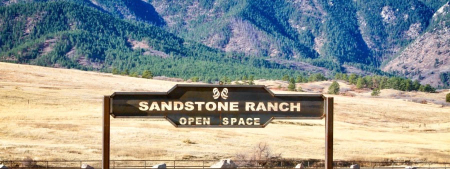 Sandstone Sixer Logo