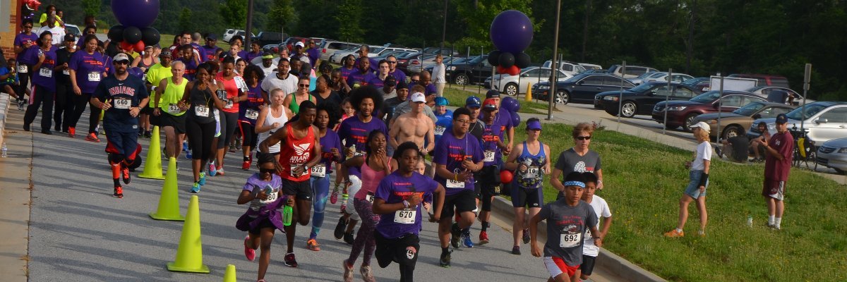 Savage Run Virtual 5k for Lupus Awareness Logo