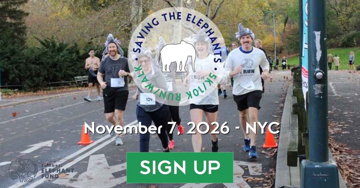 Saving the Elephants 5K &10K Run/Walk 2026 Logo
