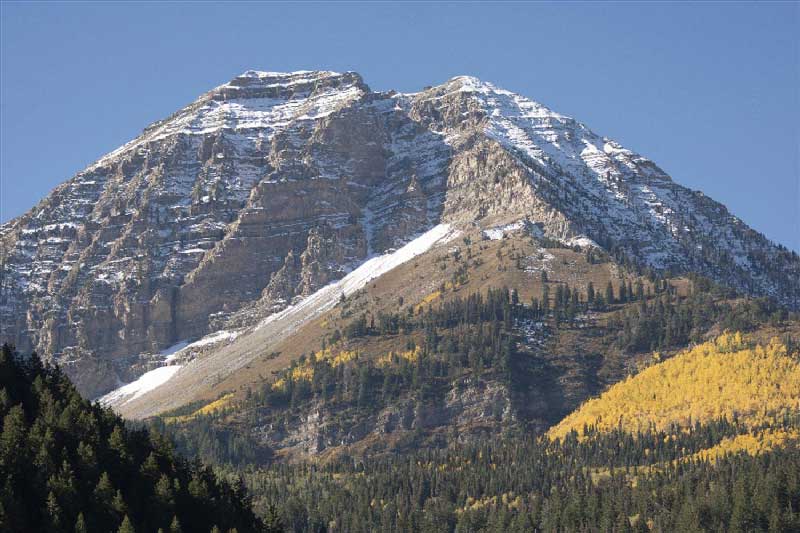 Scenic City Trail Race