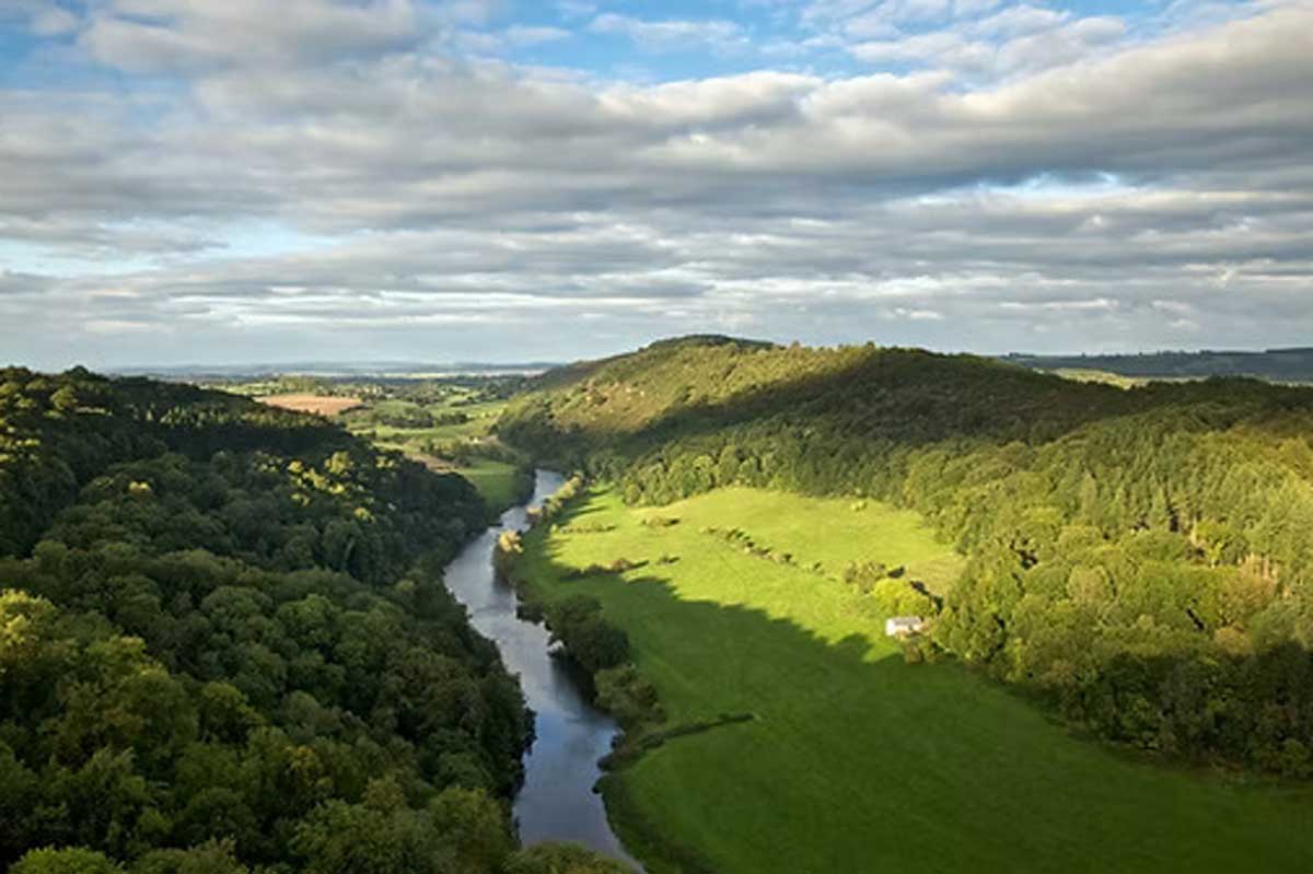 Scorpion Run - Coleford Logo